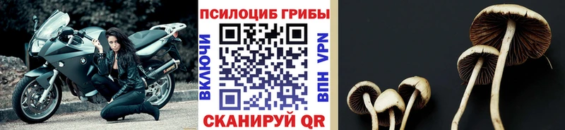 Псилоцибиновые грибы ЛСД  Слободской 